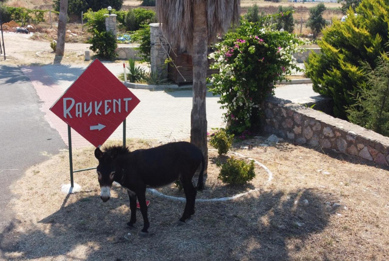 Villa Ernis - Datca Raykent Tatil Sitesi - Kiralik エクステリア 写真